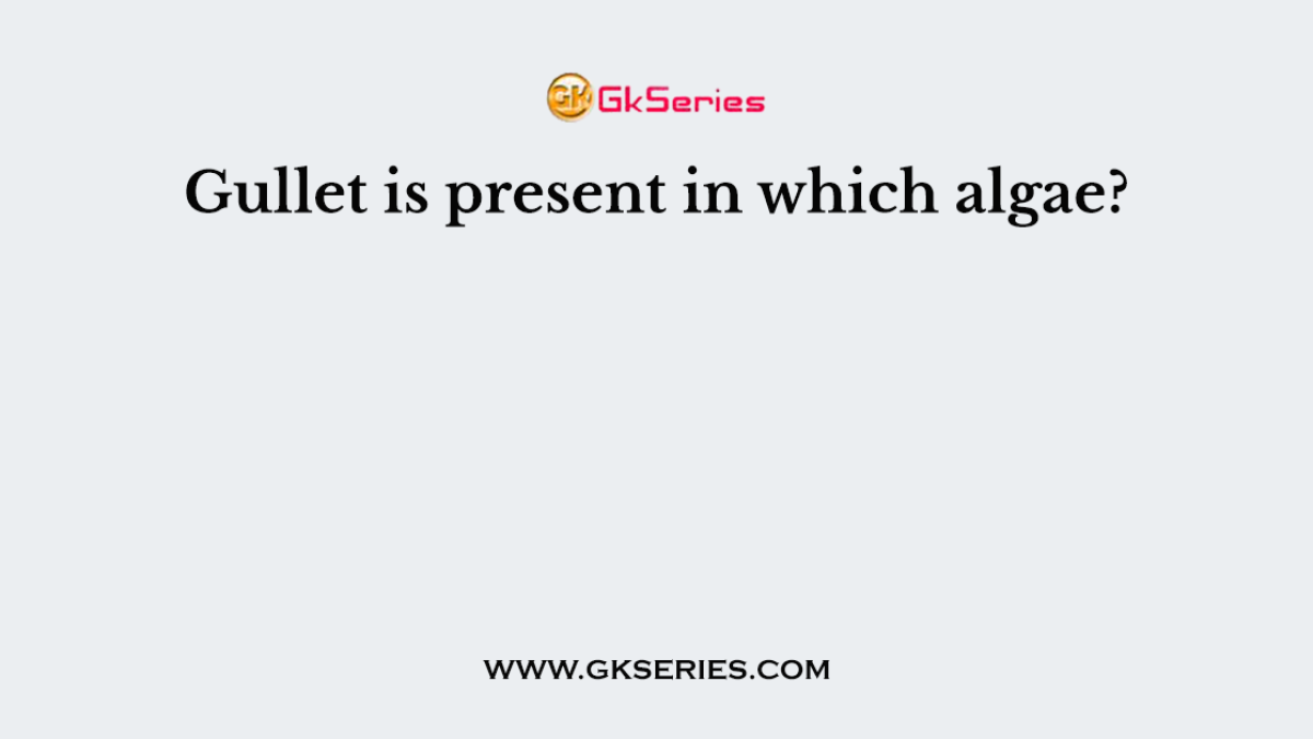 Gullet is present in which algae?