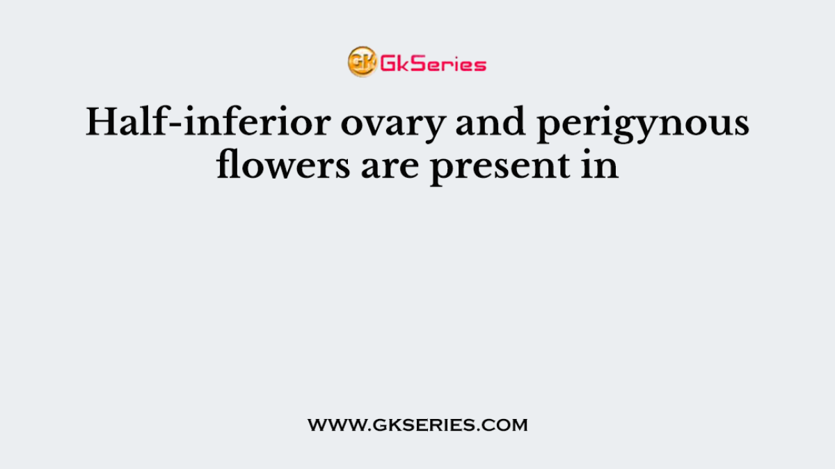 Half-inferior ovary and perigynous flowers are present in