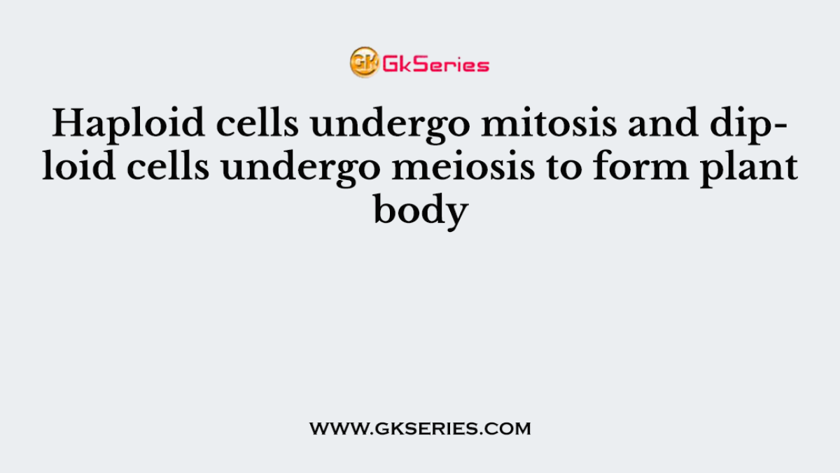Haploid cells undergo mitosis and diploid cells undergo meiosis to form plant body