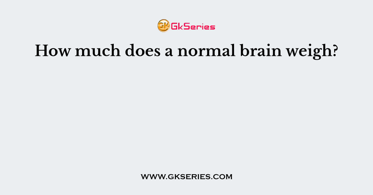 How much does a normal brain weigh?