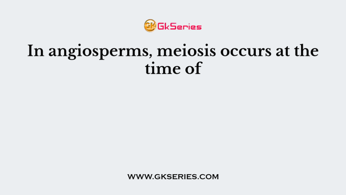In angiosperms, meiosis occurs at the time of