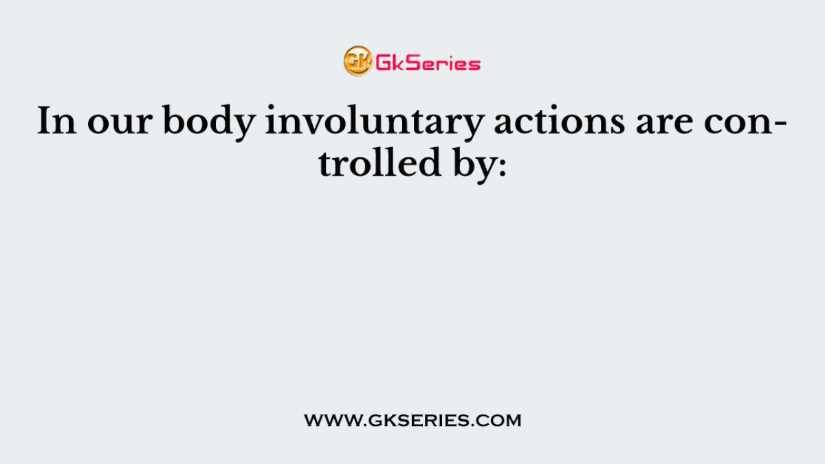 In our body involuntary actions are controlled by: