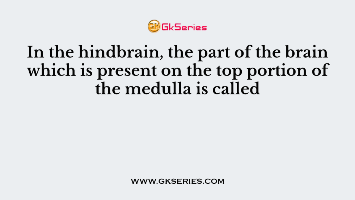 In the hindbrain, the part of the brain which is present on the top portion of the medulla is called