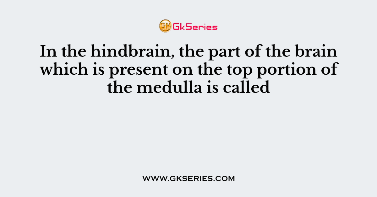 In the hindbrain, the part of the brain which is present on the top portion of the medulla is called