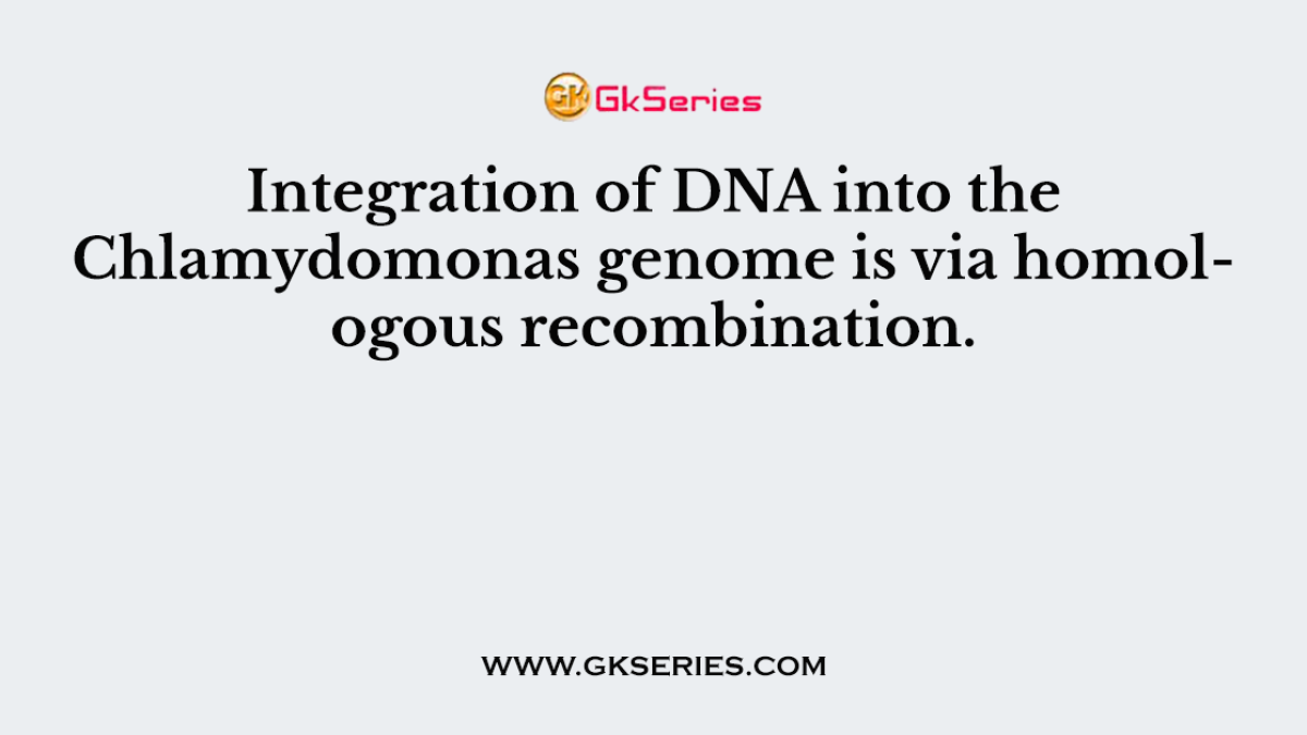 Integration of DNA into the Chlamydomonas genome is via homologous recombination.