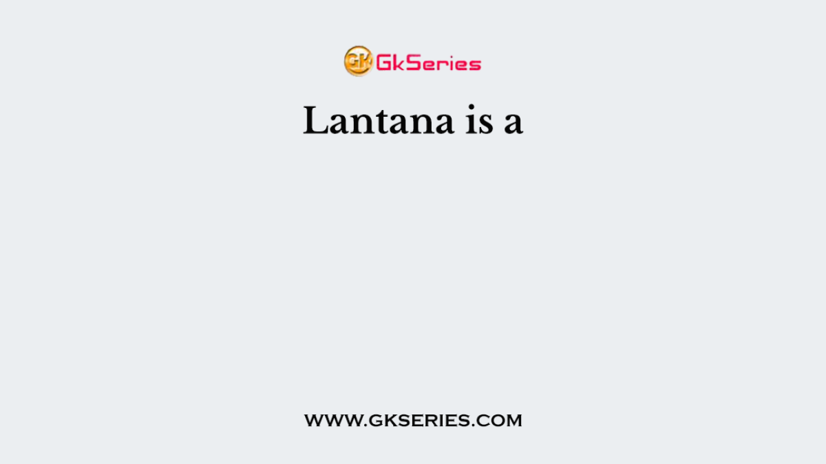 Lantana is a