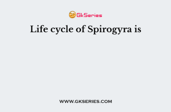 Life cycle of Spirogyra is