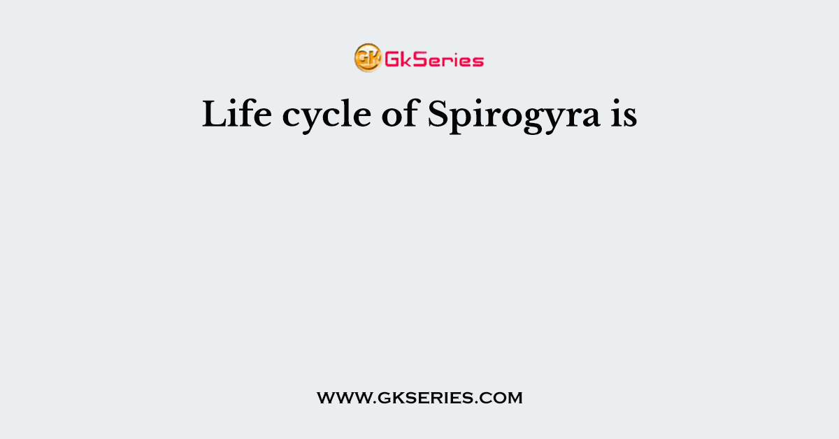 Life cycle of Spirogyra is