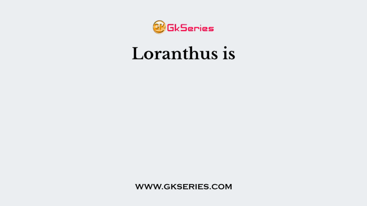 Loranthus is