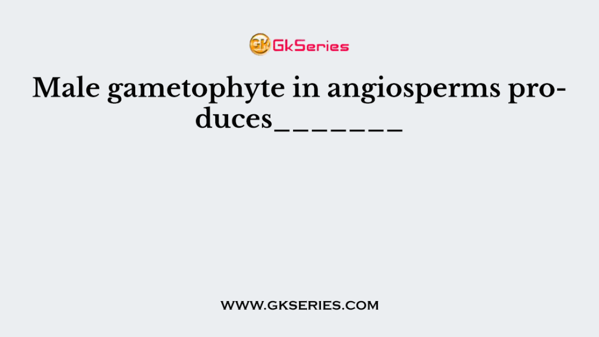 Male gametophyte in angiosperms produces_______
