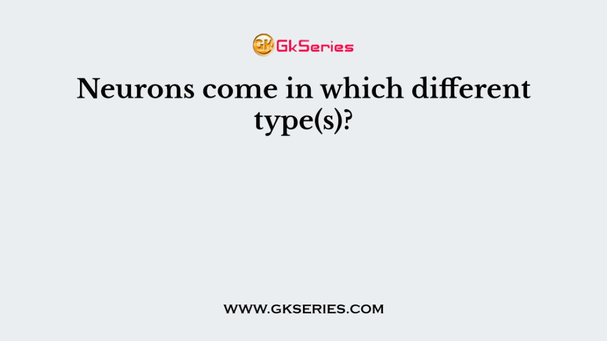 Neurons come in which different type(s)?