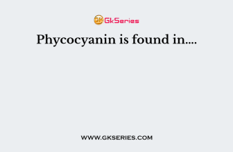 Phycocyanin is found in….