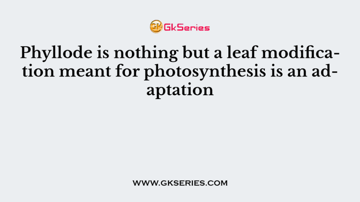 Phyllode is nothing but a leaf modification meant for photosynthesis is an adaptation