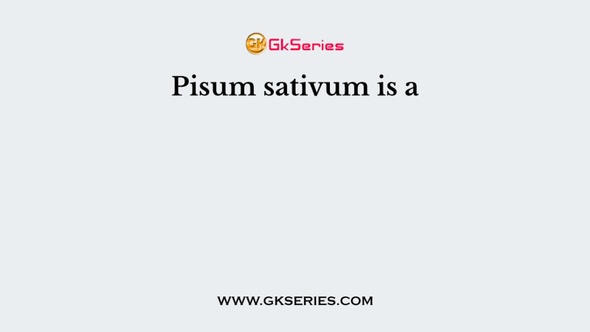 Pisum sativum is a
