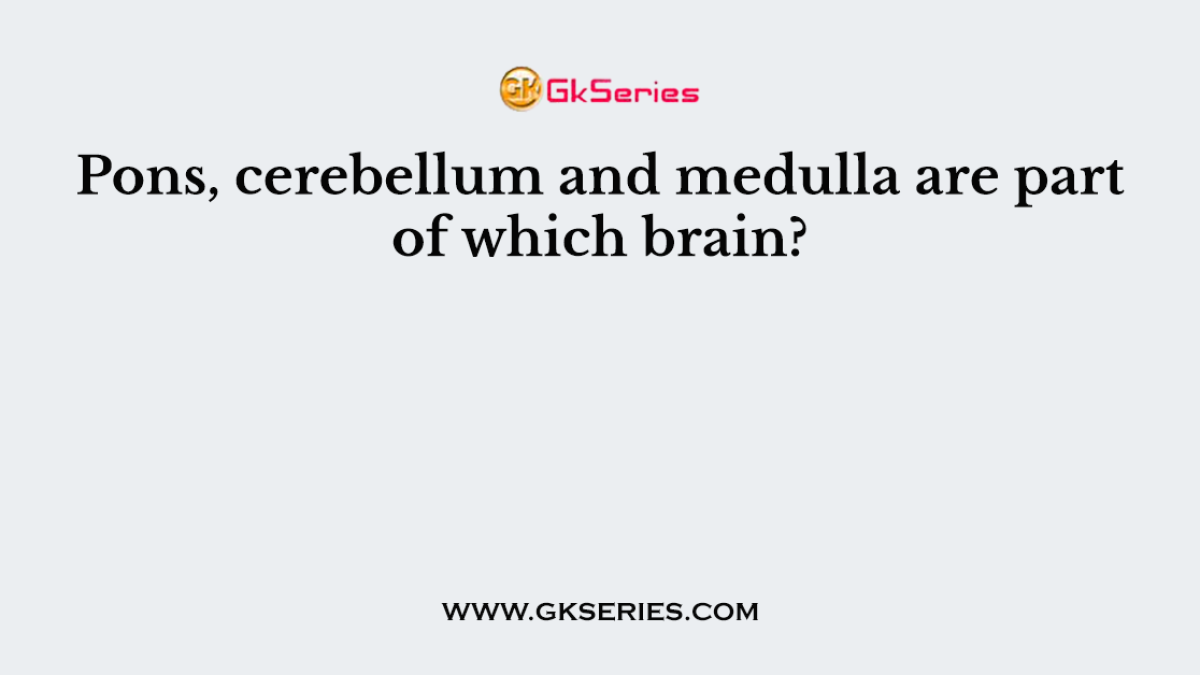 Pons, cerebellum and medulla are part of which brain?