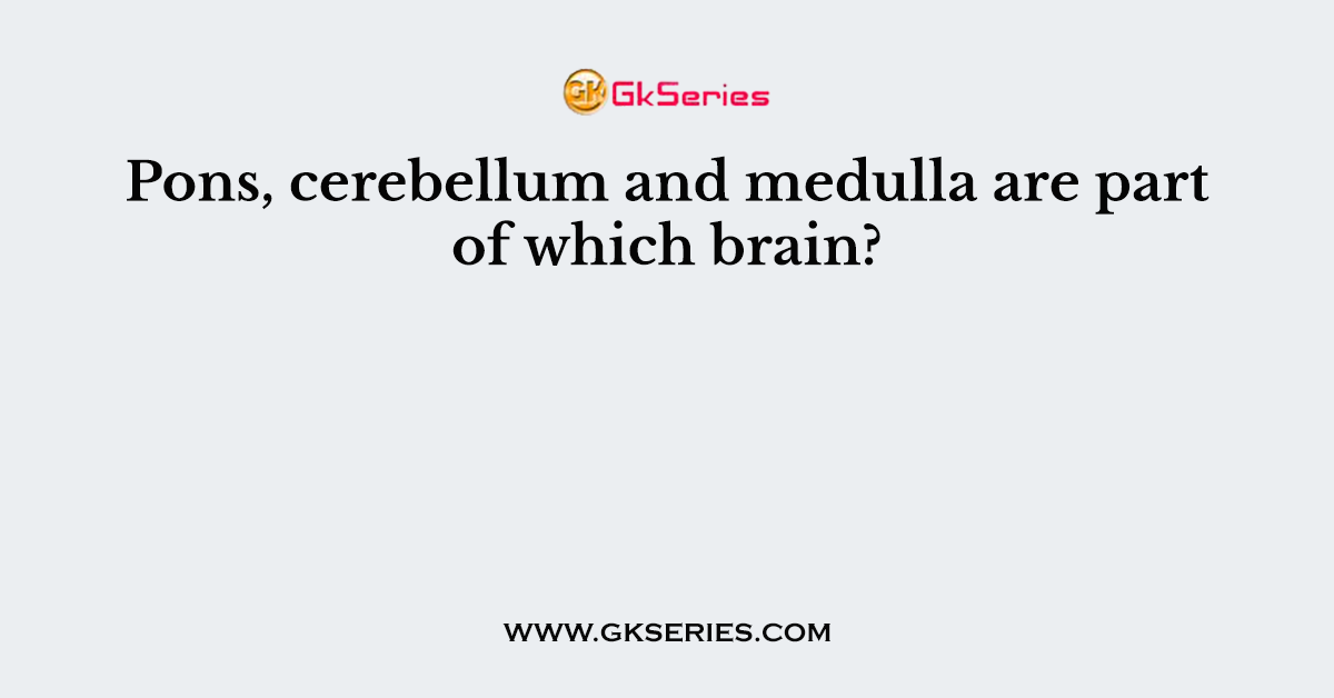 Pons, cerebellum and medulla are part of which brain?