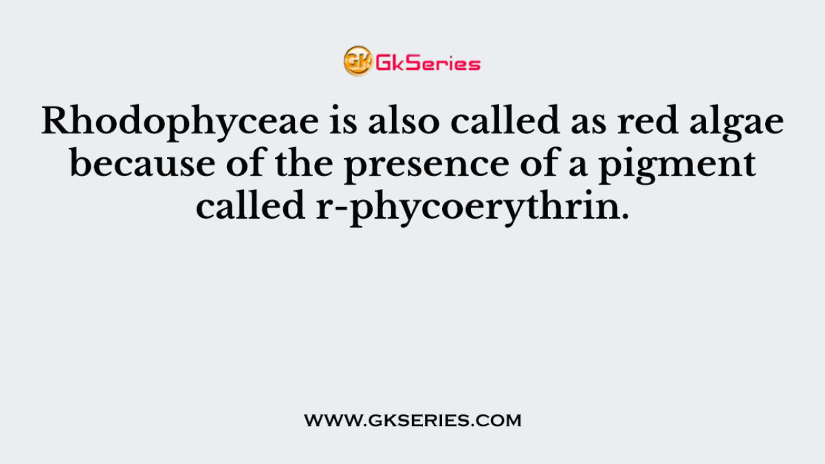 Rhodophyceae is also called as red algae because of the presence of a pigment called r-phycoerythrin.