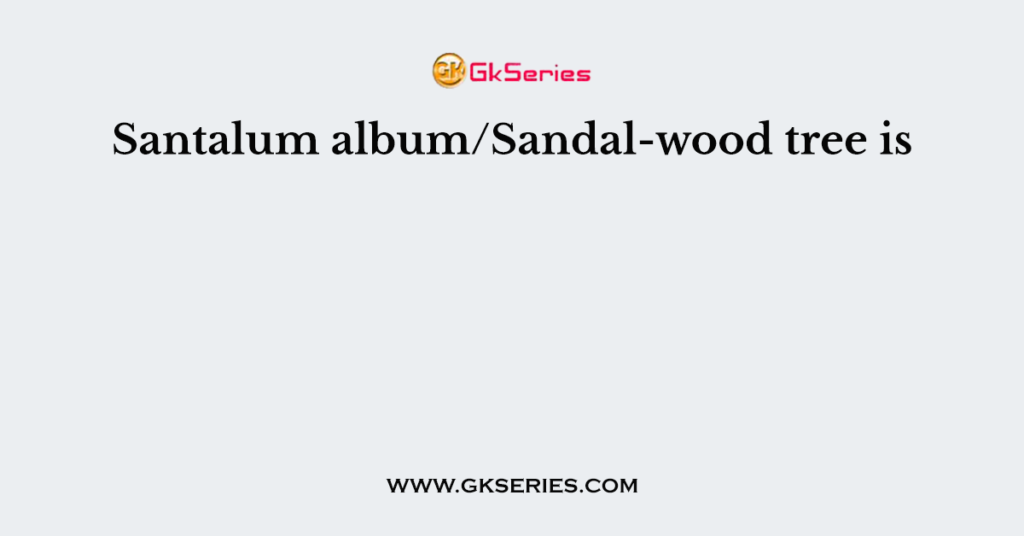 Santalum album/Sandal-wood tree is