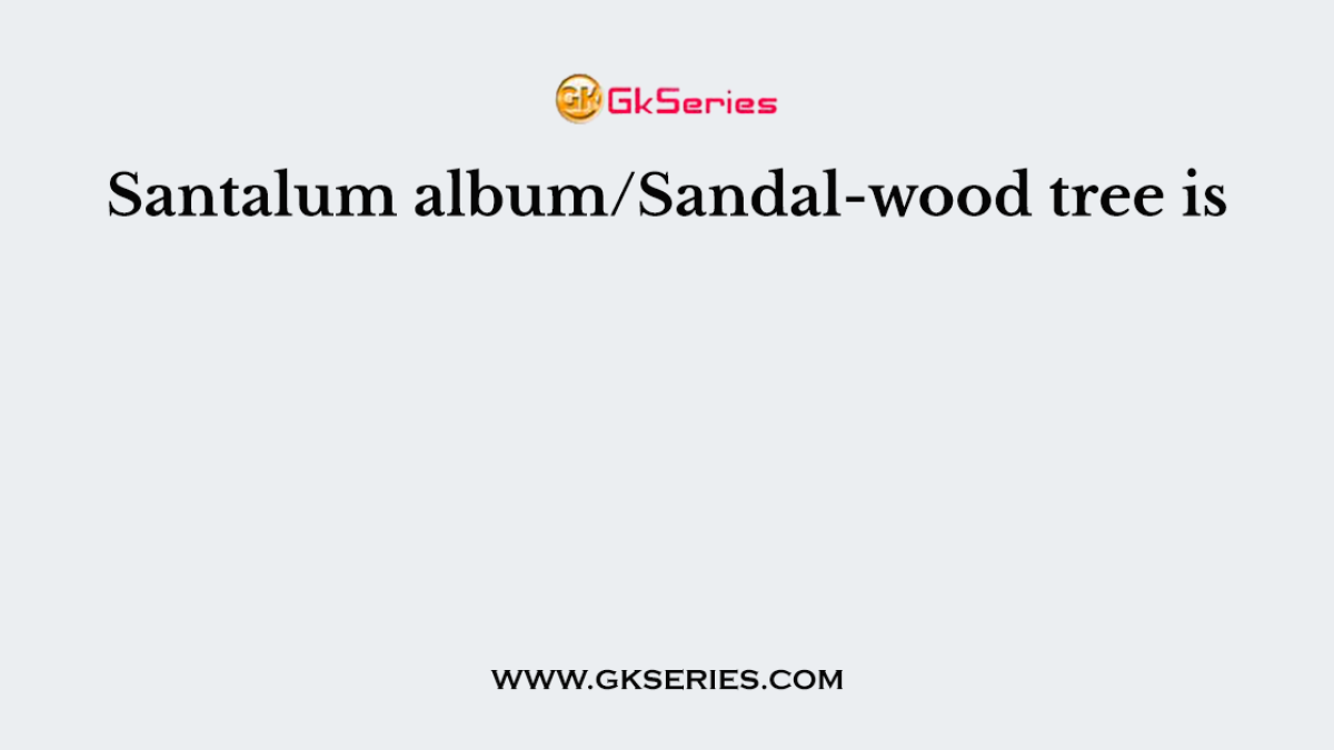 Santalum album/Sandal-wood tree is
