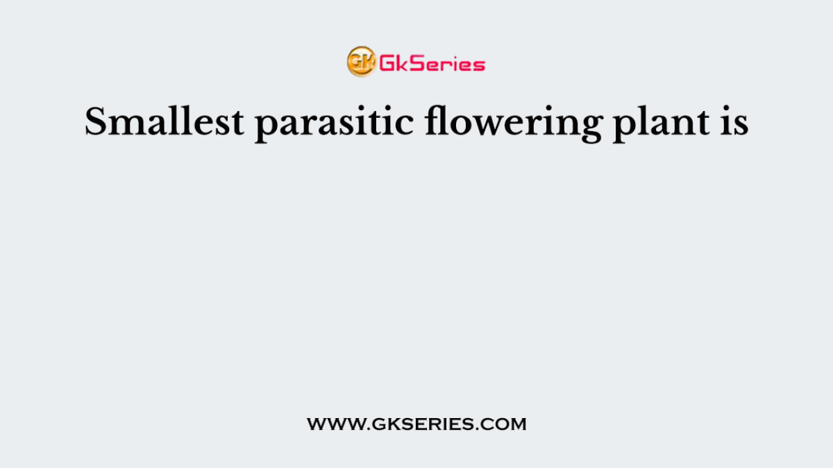 Smallest parasitic flowering plant is