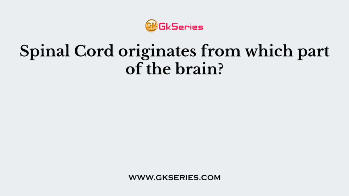 Spinal Cord originates from which part of the brain?