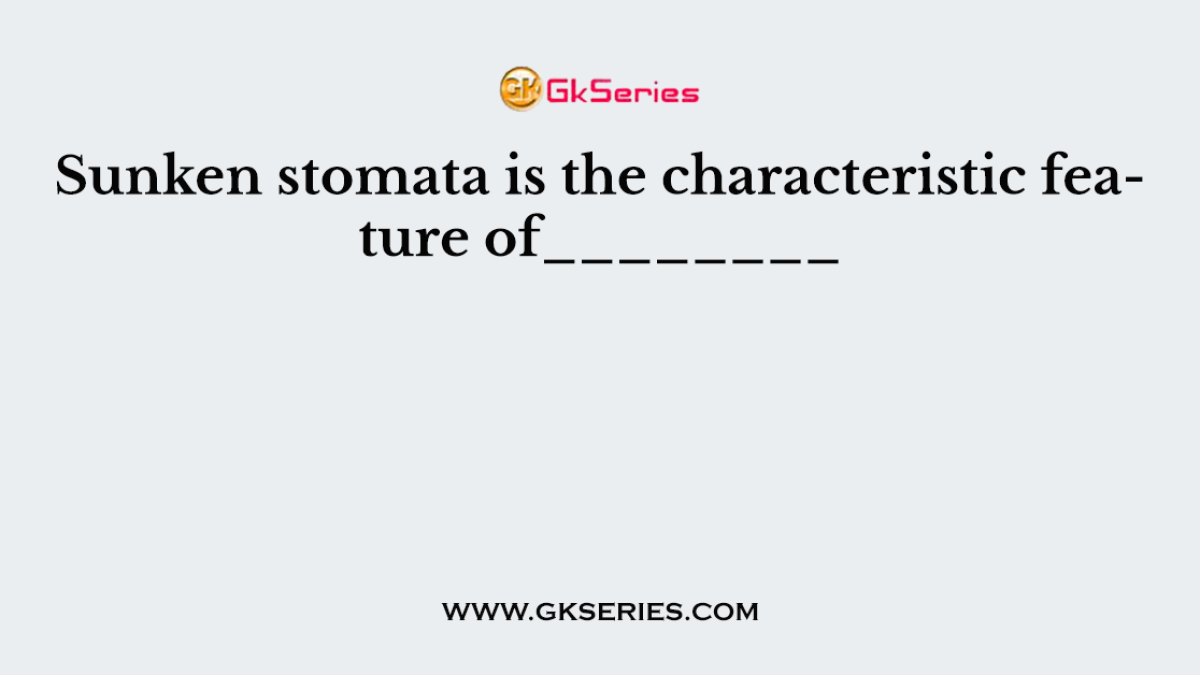 Sunken stomata is the characteristic feature of________