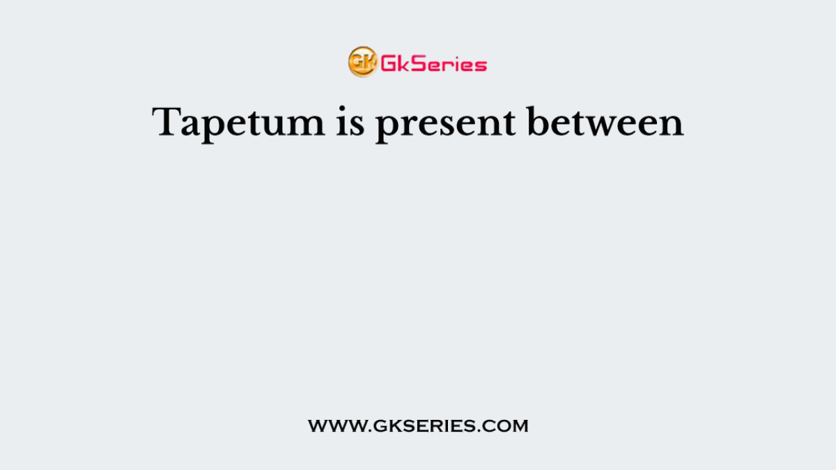Tapetum is present between