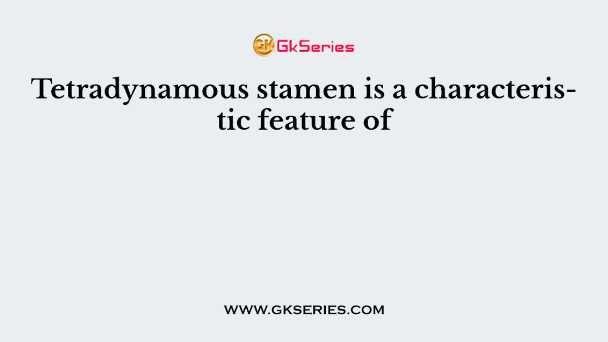 Tetradynamous stamen is a characteristic feature of