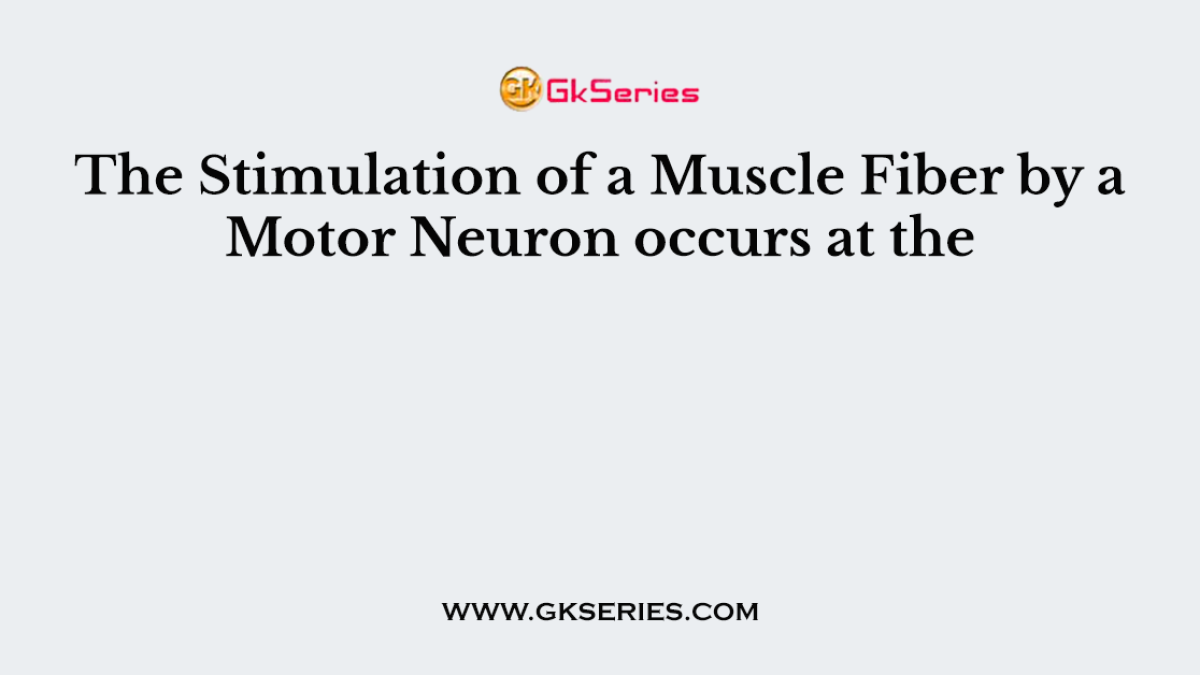 The Stimulation of a Muscle Fiber by a Motor Neuron occurs at the