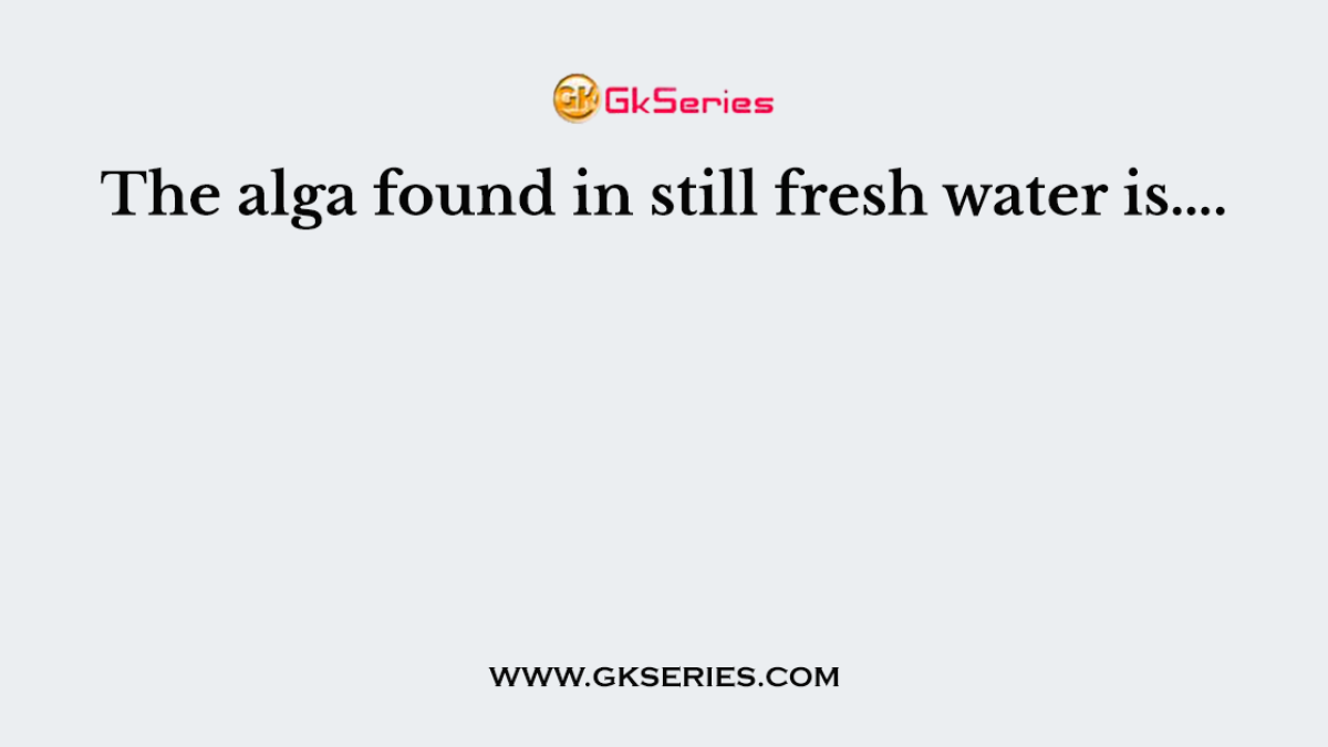 The alga found in still fresh water is….