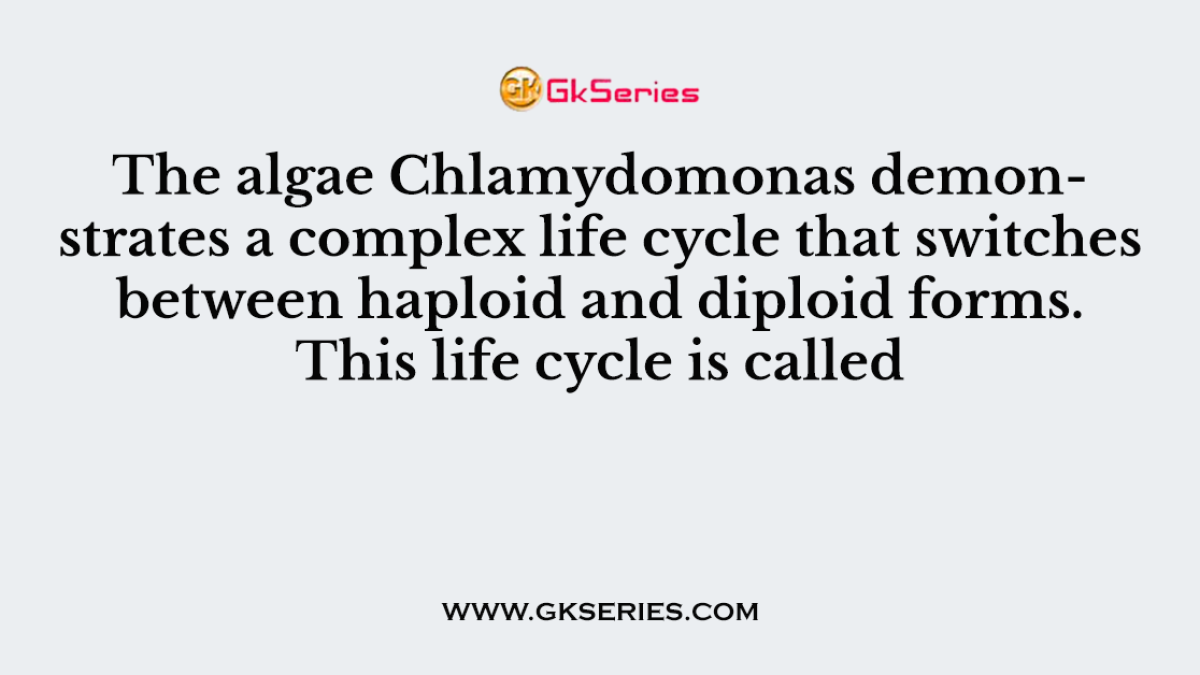 The algae Chlamydomonas demonstrates a complex life cycle that switches between haploid and diploid forms. This life cycle is called