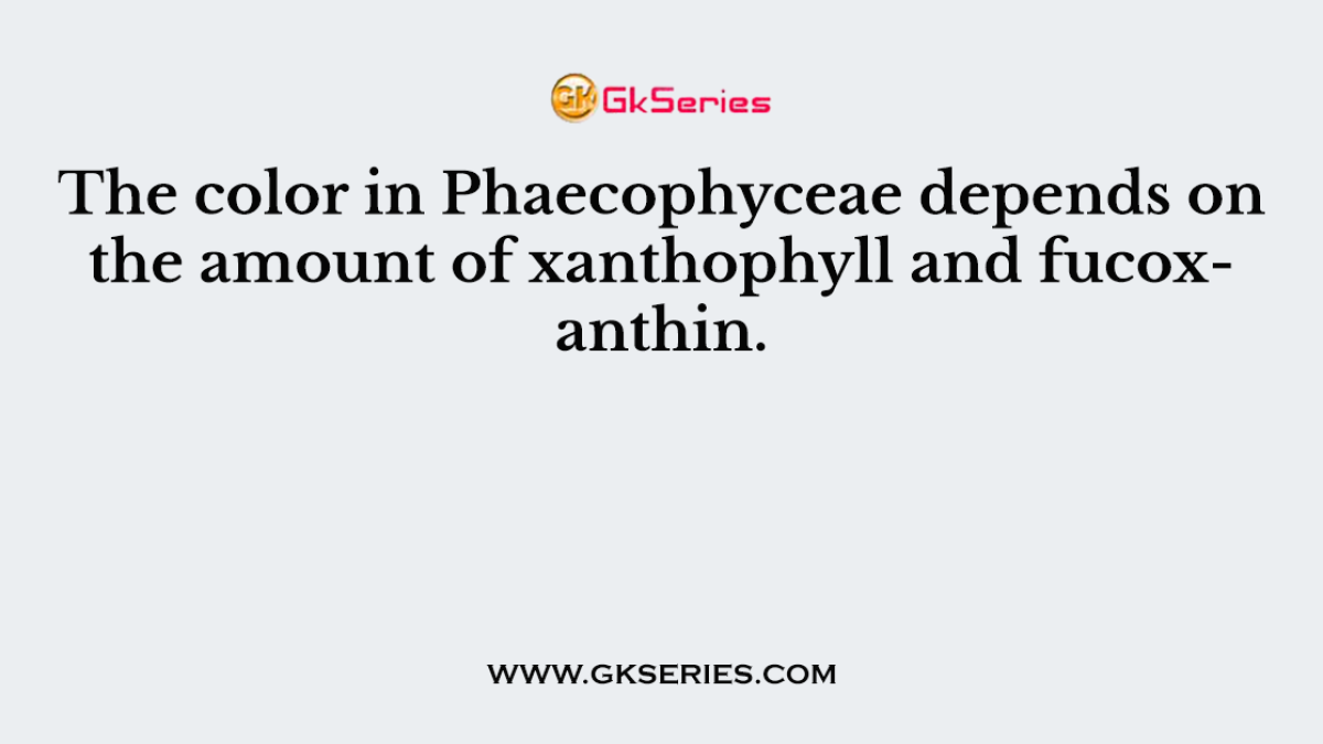 The color in Phaecophyceae depends on the amount of xanthophyll and fucoxanthin.