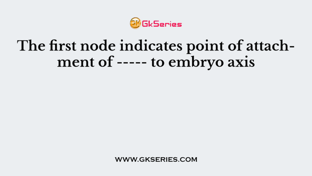 The first node indicates point of attachment of ----- to embryo axis