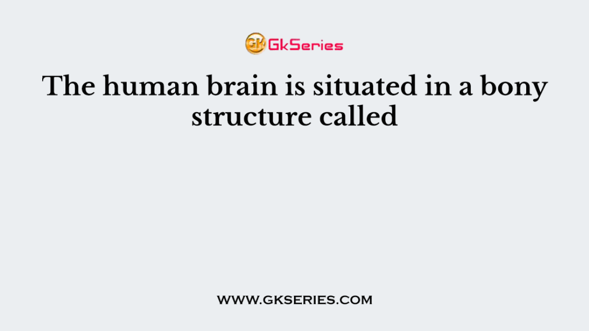 The human brain is situated in a bony structure called