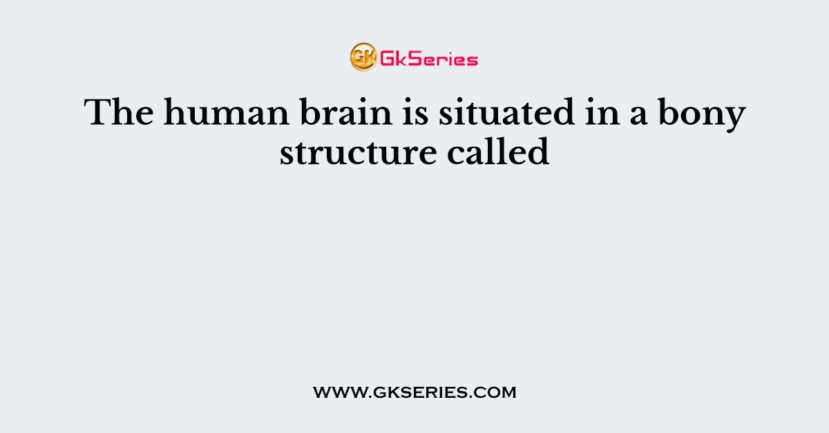 The human brain is situated in a bony structure called