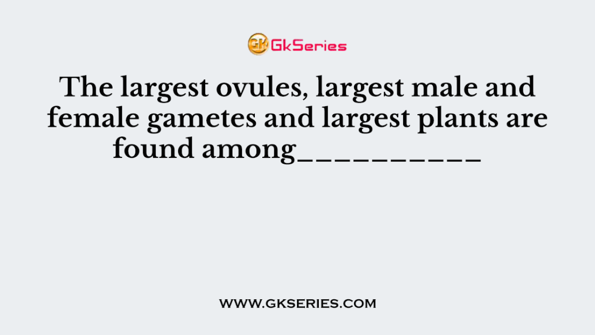 The largest ovules, largest male and female gametes and largest plants are found among__________