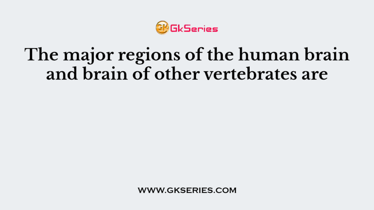 The major regions of the human brain and brain of other vertebrates are