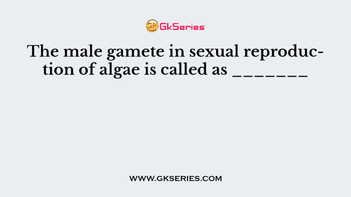 The male gamete in sexual reproduction of algae is called as _______