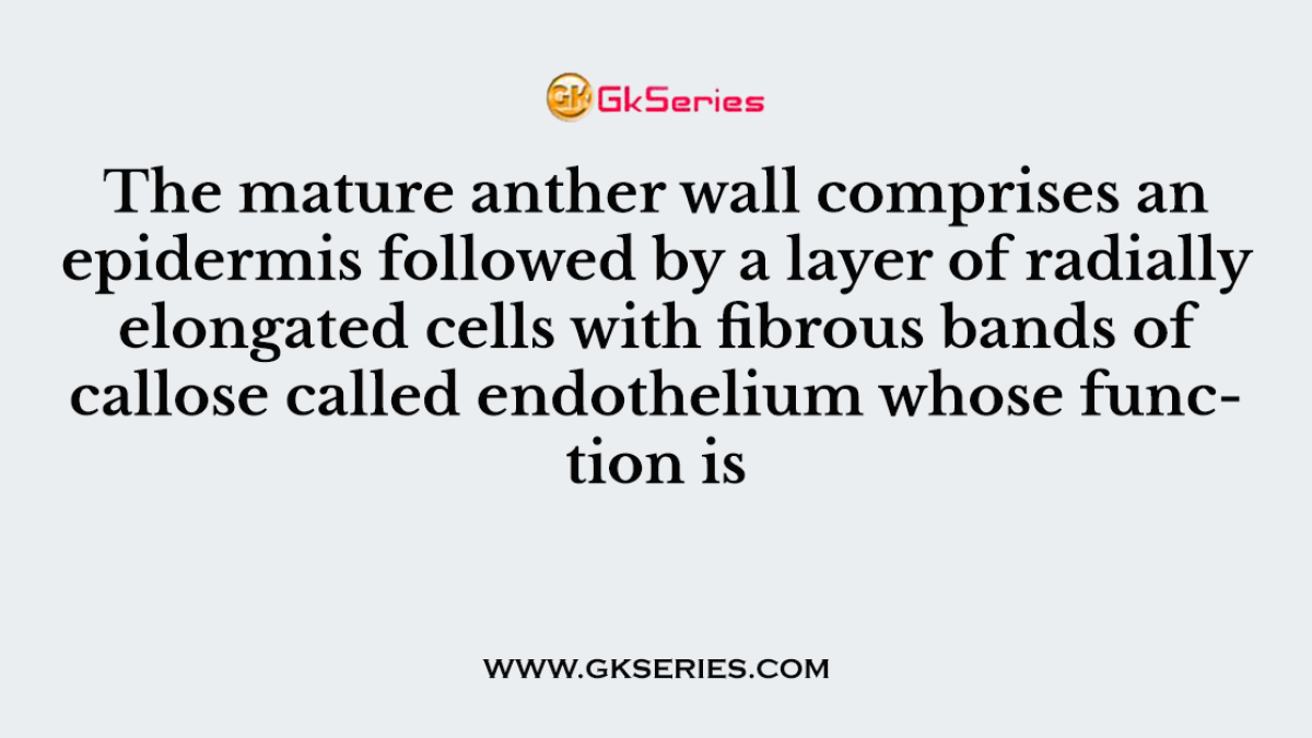 The mature anther wall comprises an epidermis followed by a layer of radially elongated cells with fibrous bands of callose called endothelium whose function is