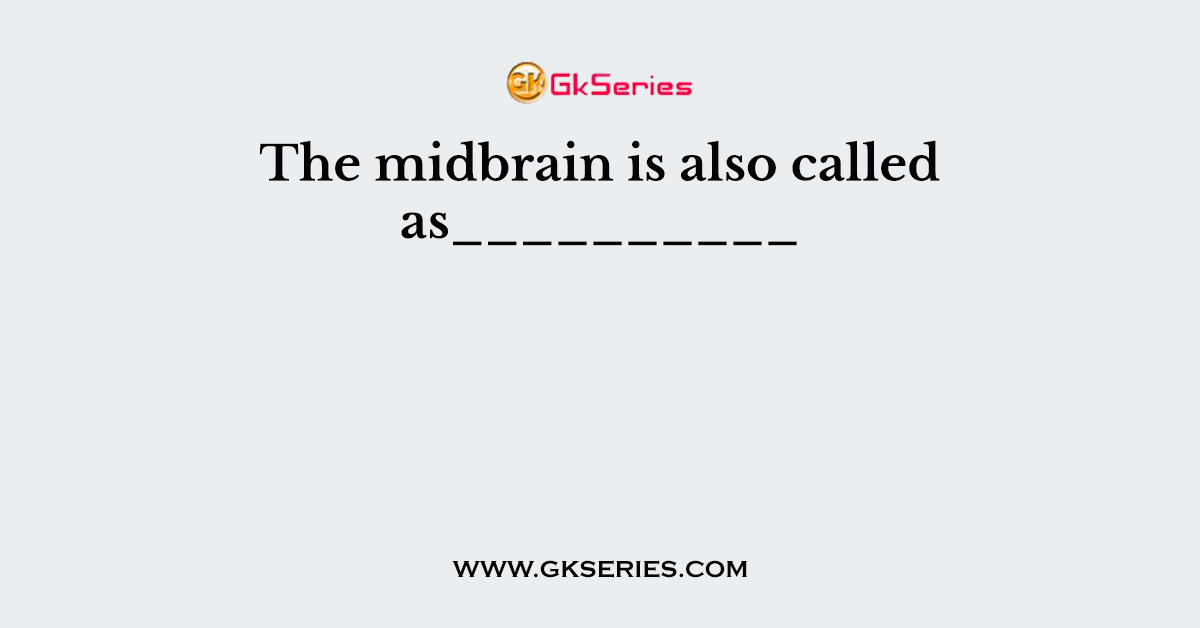The midbrain is also called as__________