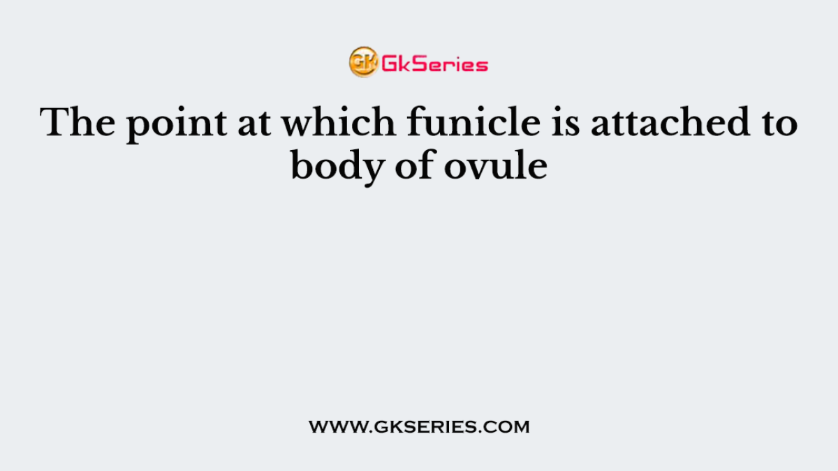The point at which funicle is attached to body of ovule