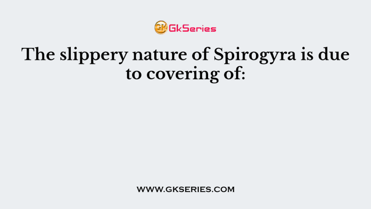 The slippery nature of Spirogyra is due to covering of: