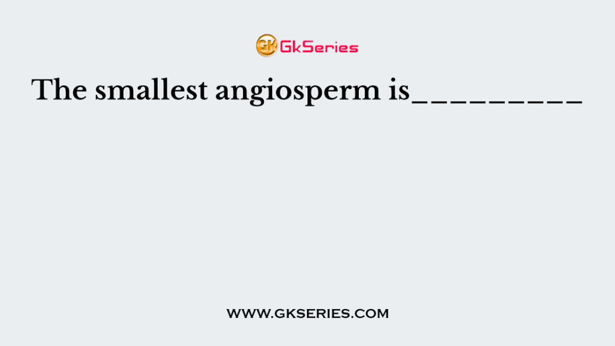 The smallest angiosperm is_________