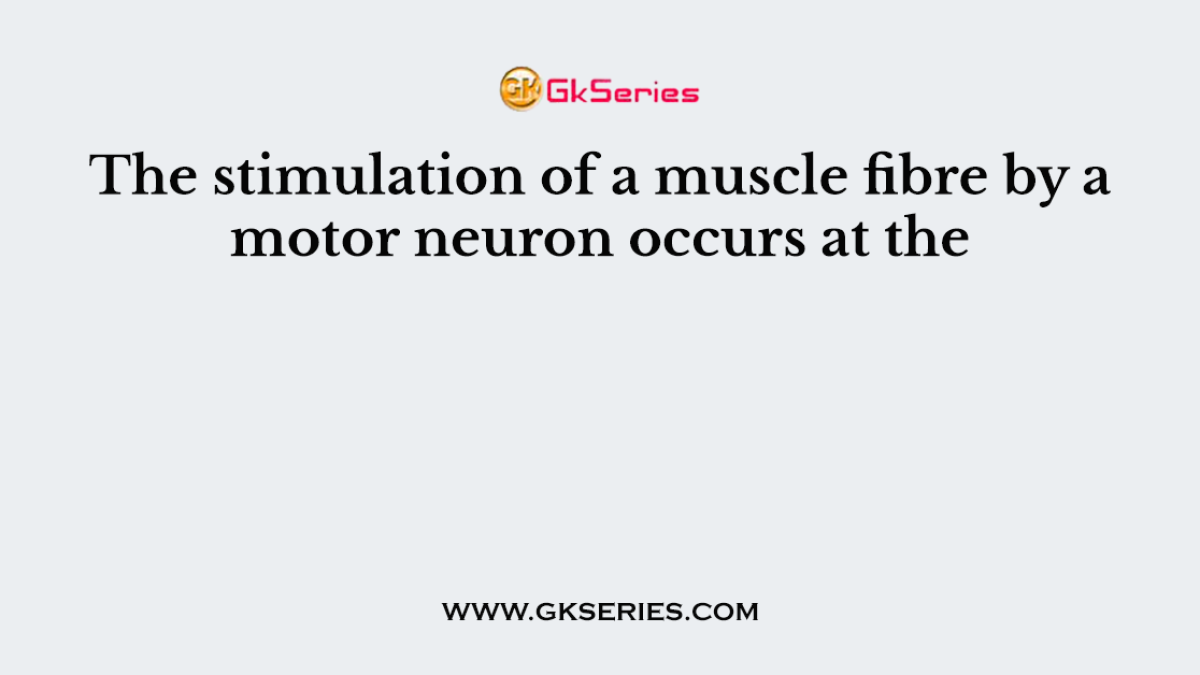 The stimulation of a muscle fibre by a motor neuron occurs at the