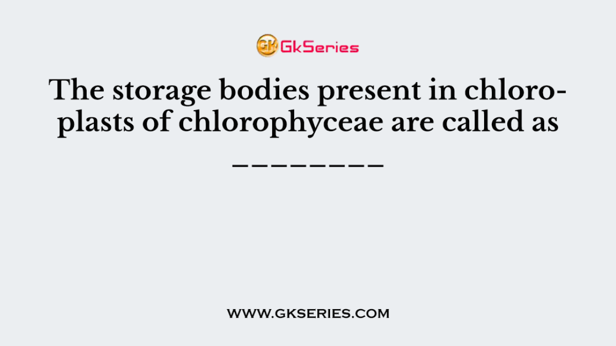 The storage bodies present in chloroplasts of chlorophyceae are called as ________
