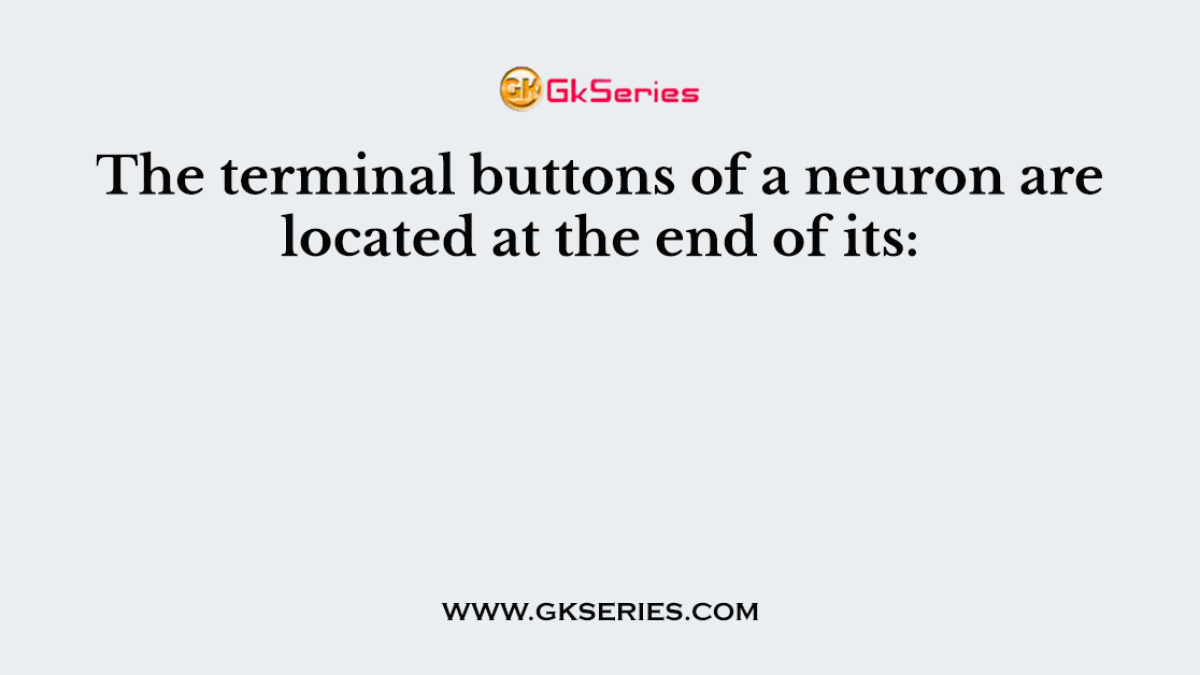 The terminal buttons of a neuron are located at the end of its: