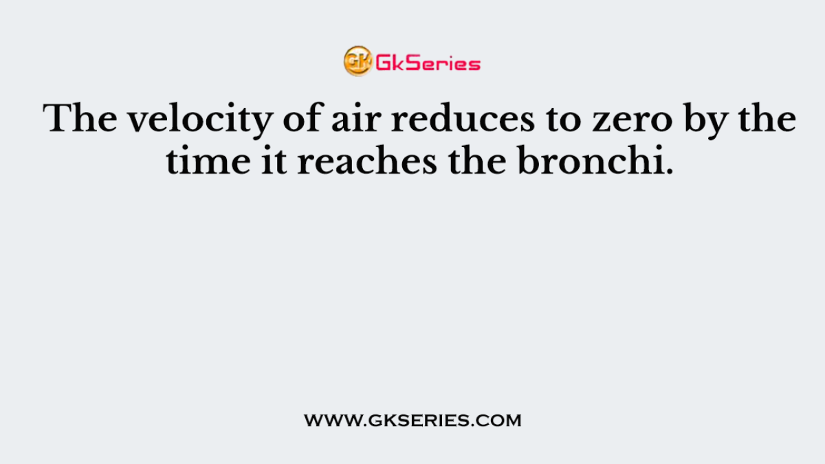 The velocity of air reduces to zero by the time it reaches the bronchi.