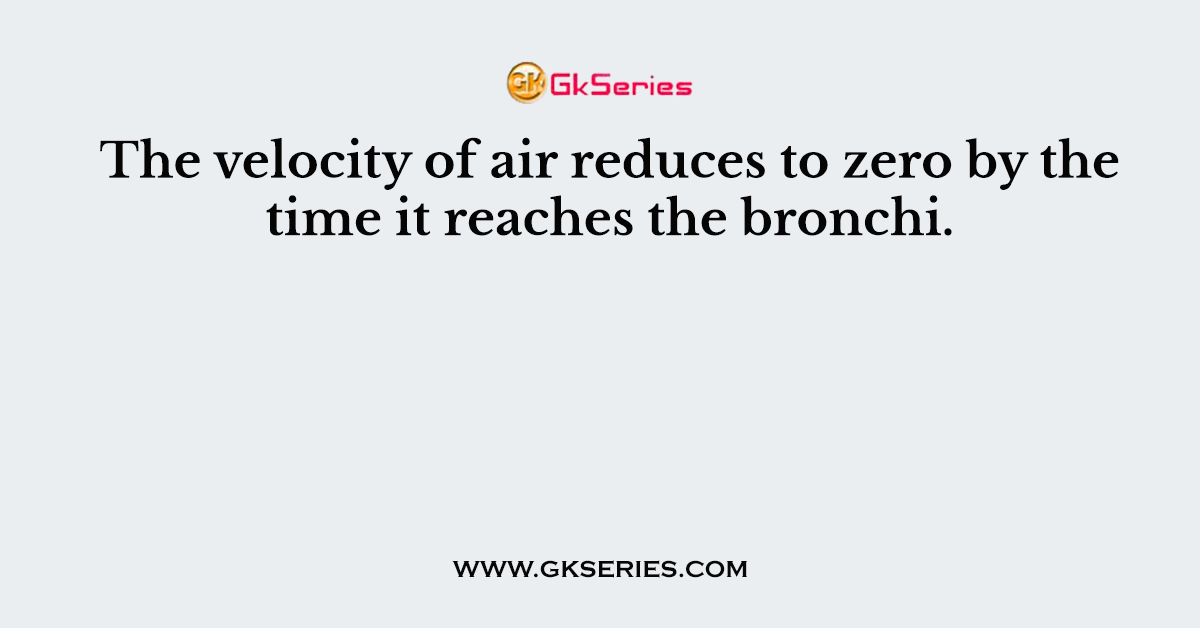 The velocity of air reduces to zero by the time it reaches the bronchi.