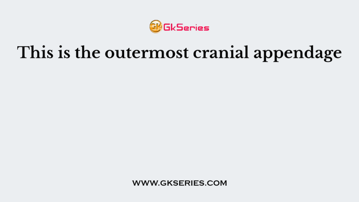 This is the outermost cranial appendage