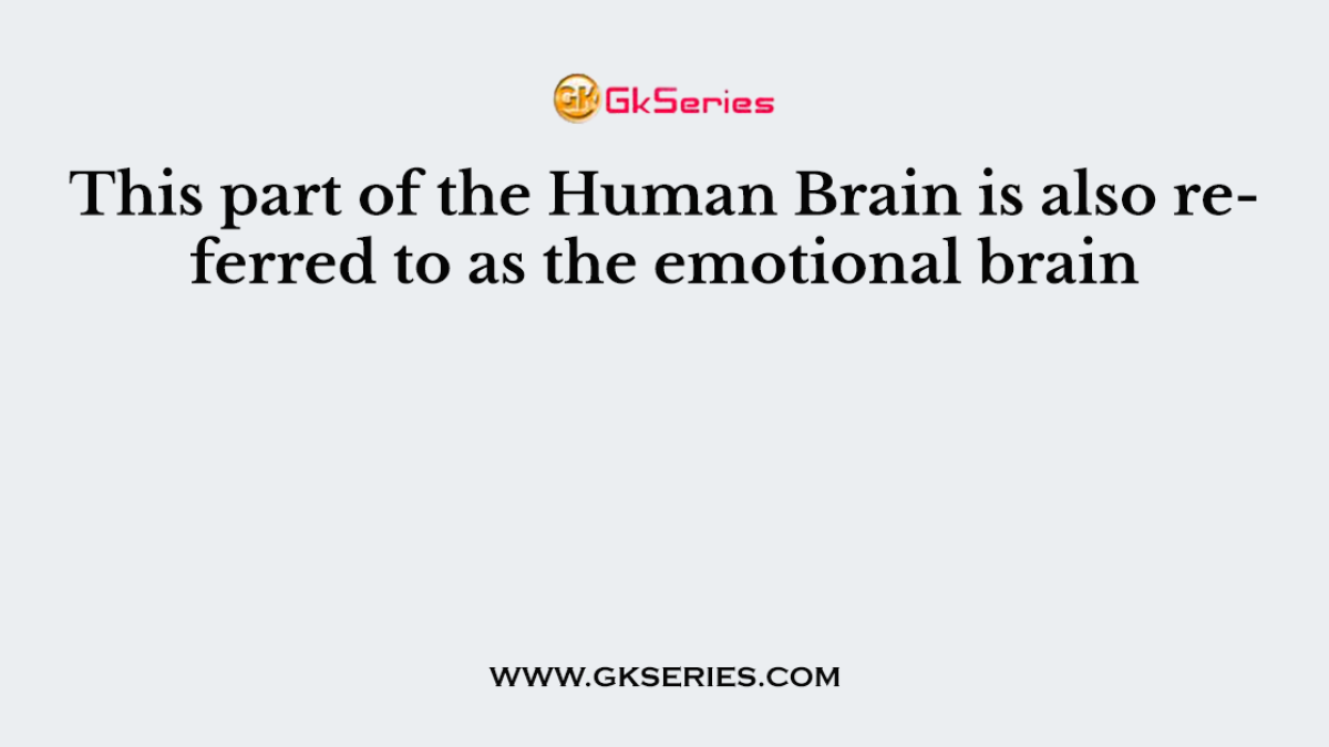 This part of the Human Brain is also referred to as the emotional brain